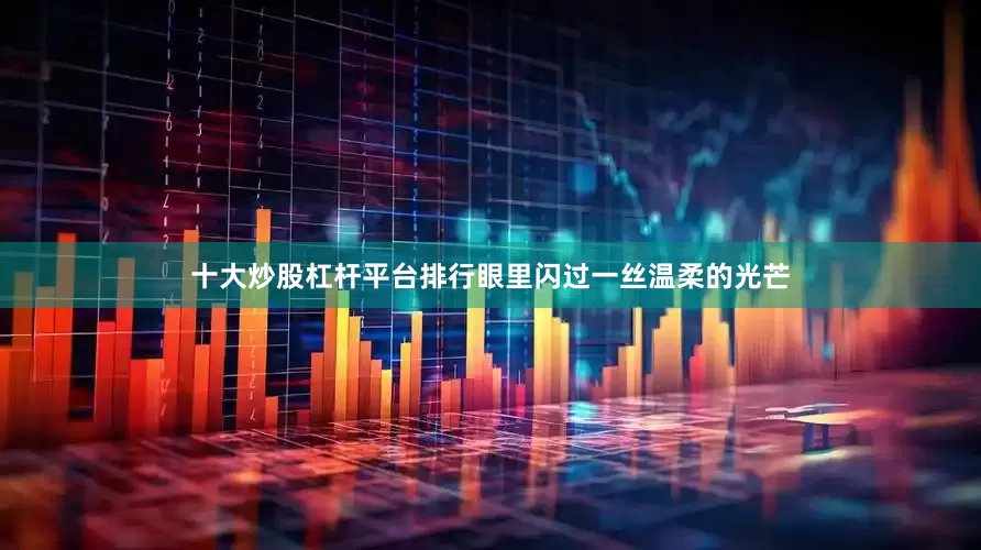 十大炒股杠杆平台排行眼里闪过一丝温柔的光芒